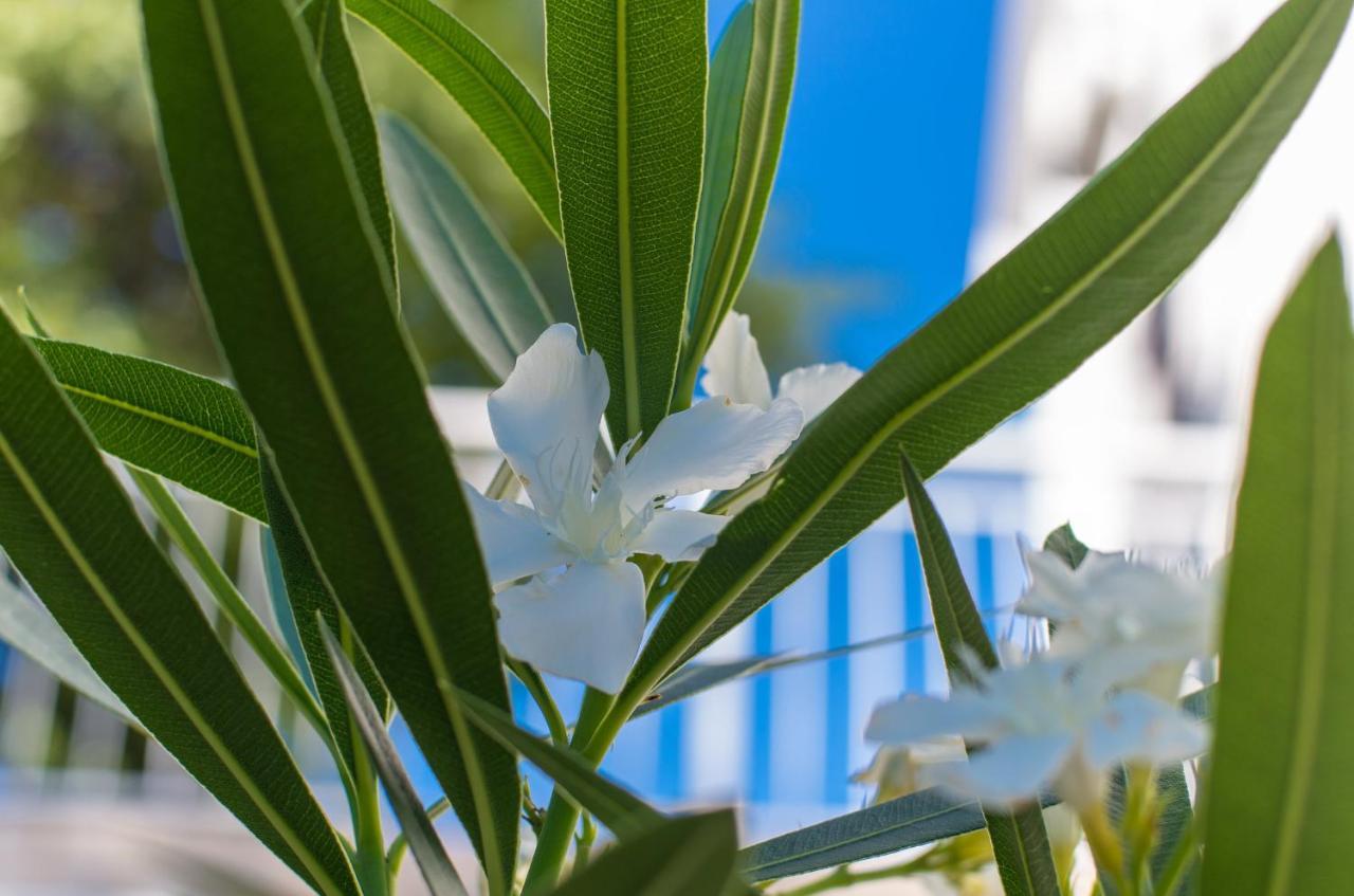 Amila Lägenhet Crikvenica Exteriör bild